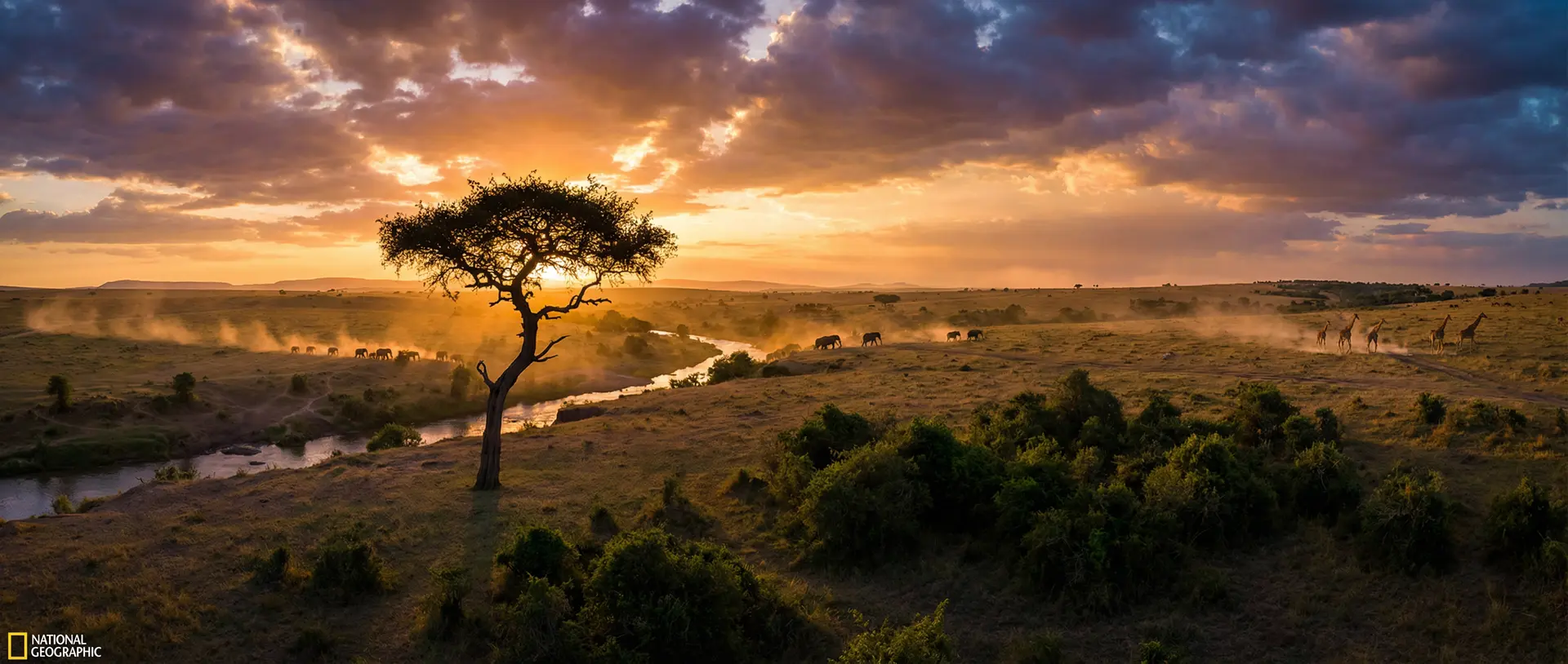 非洲草原 - 探花视频 人文纪实影像
