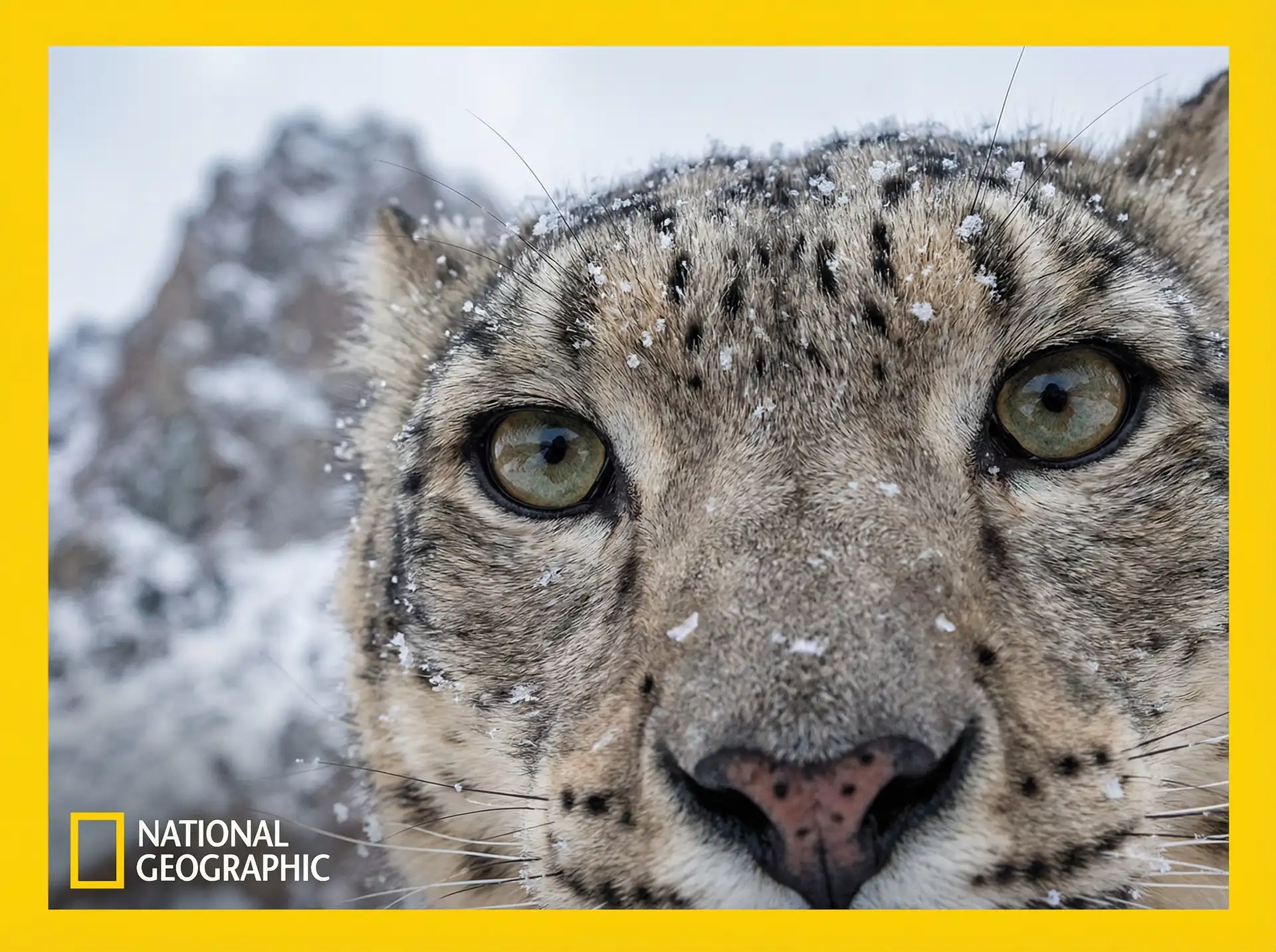 海洋猎手 - 探花视频 放映室